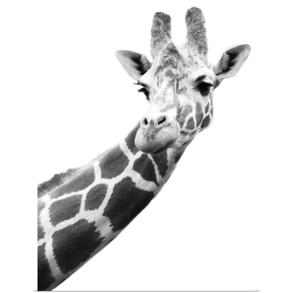 Жираф арт профиль