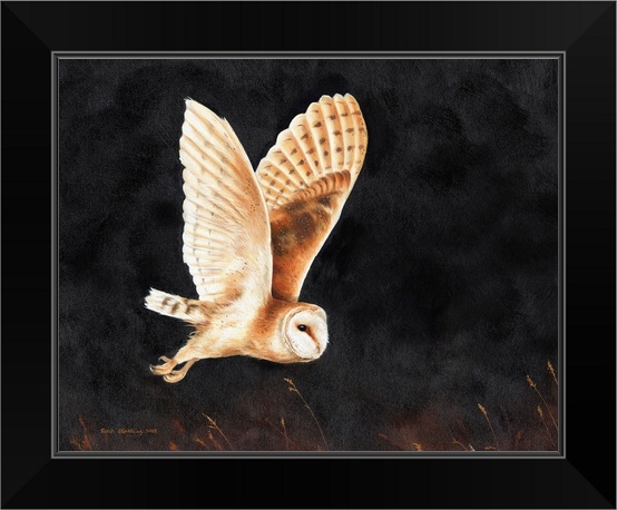 Barn Owl Flying Black Framed Wall Art Print Owl Home Decor