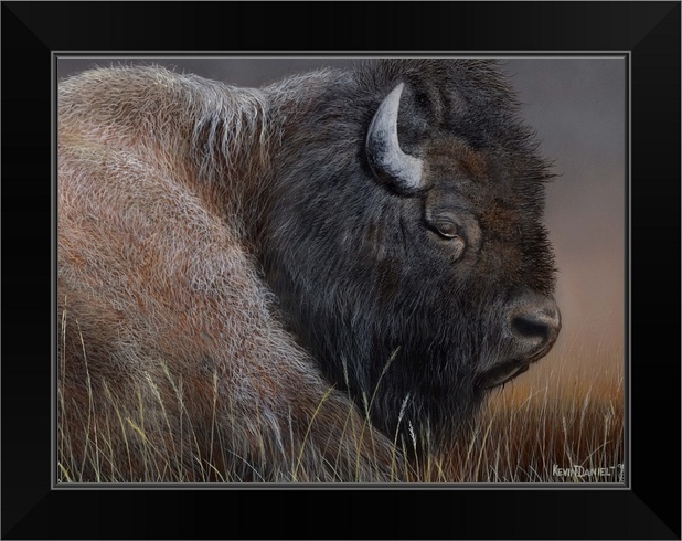 American Icon- Bison Black Framed Wall Art Print Wildlife Home Decor