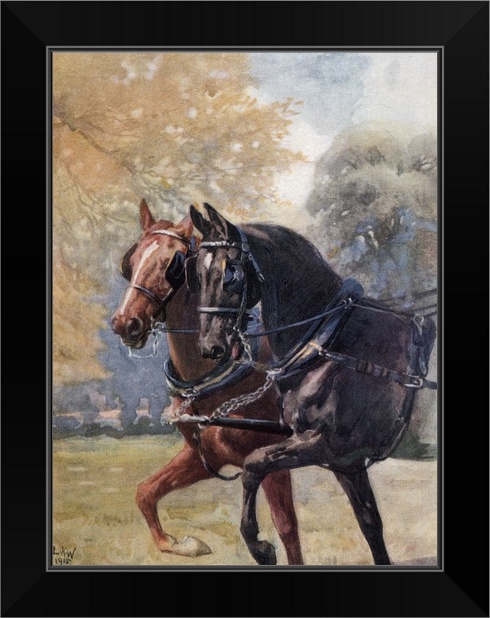 In Double Harness. Illustration From The Black Framed Wall Art Print Horse Home