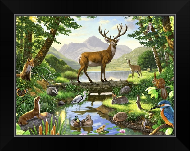 Woodland Harmony Black Framed Wall Art Print, Deer Home ...