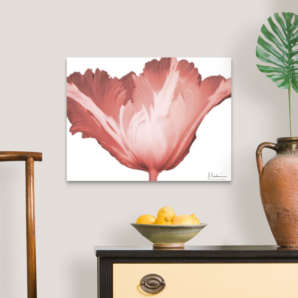 Coral Blossom 1 Canvas Art Print | eBay