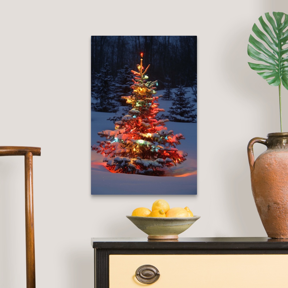 Christmas Tree With Lights Outdoors In The Forest Canvas Art Print | eBay
