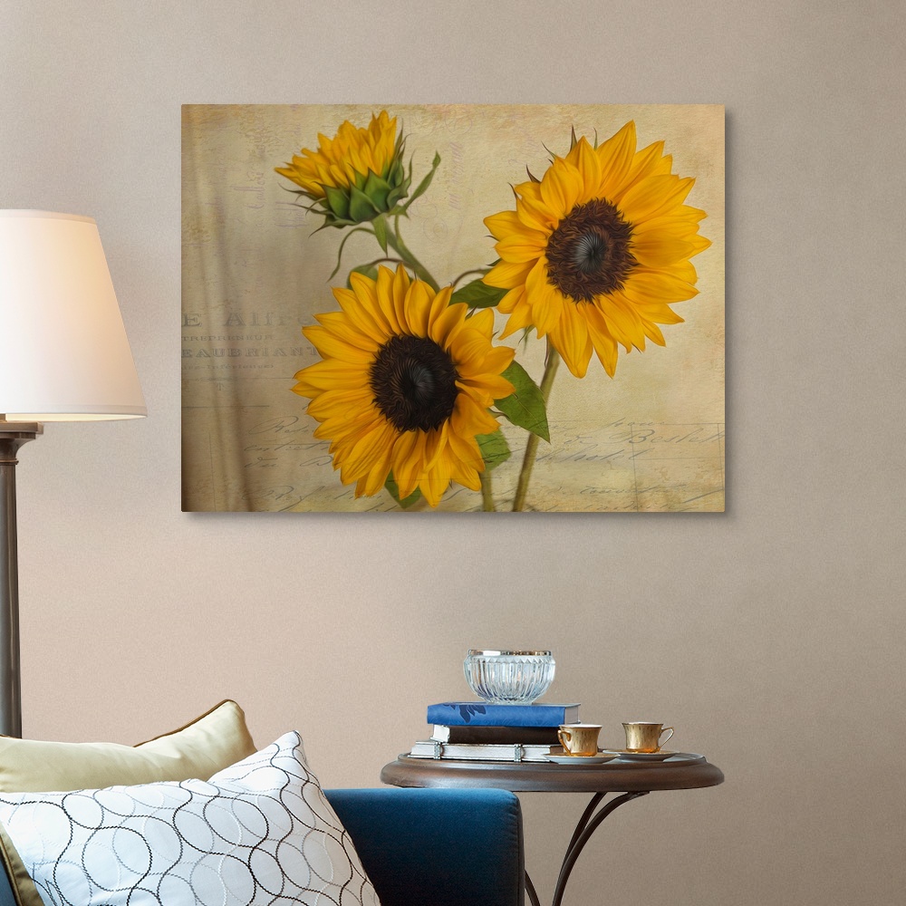 Sunflowers II Canvas Art Print | eBay