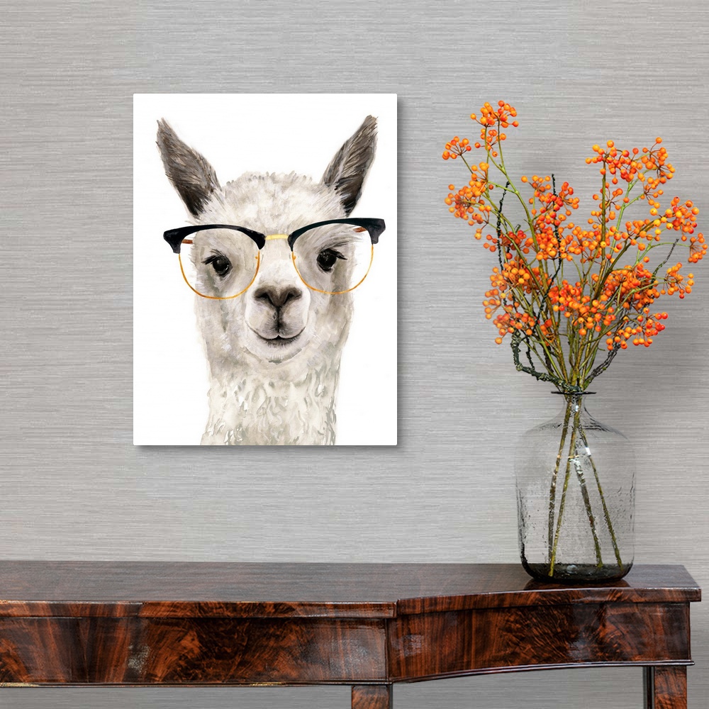 Hip Llama IV Canvas Art Print eBay Hip Llama IV Canvas Art Print eBay