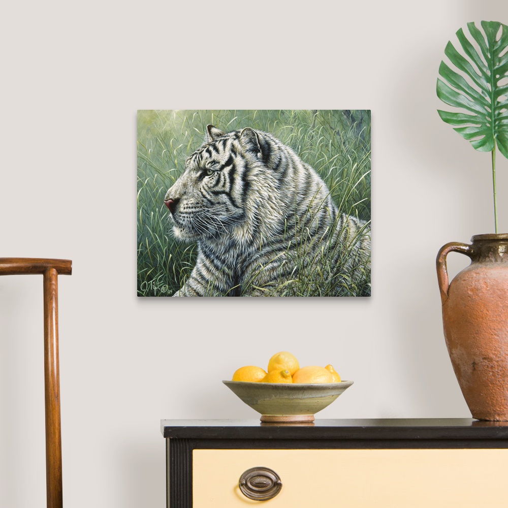 White Tiger Canvas Wall Art Print, Tiger Home Decor eBay
