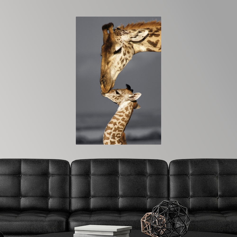 Masai Mara Giraffe Poster Art Print, Giraffe Home Decor | eBay
