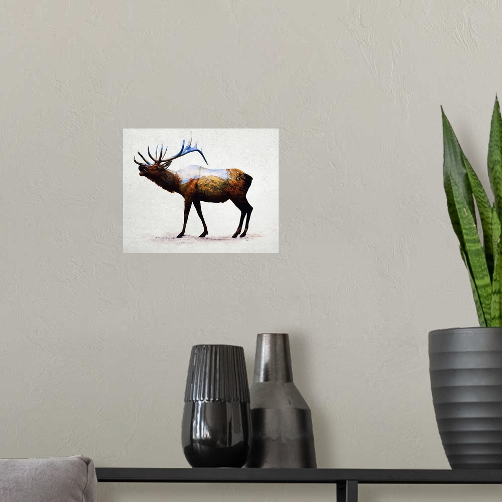 Rocky Mountain Elk Poster Art Print, Wildlife Home Decor | eBay
