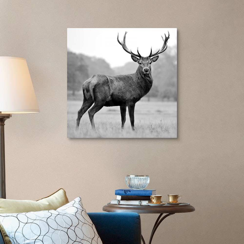 Proud Deer Canvas Wall Art Print, Deer Home Decor | eBay