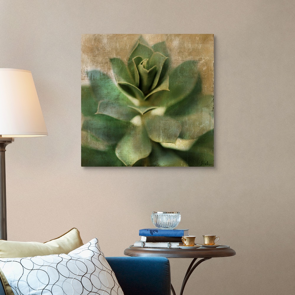Succulent I Canvas Wall Art Print, Floral Home Decor | eBay