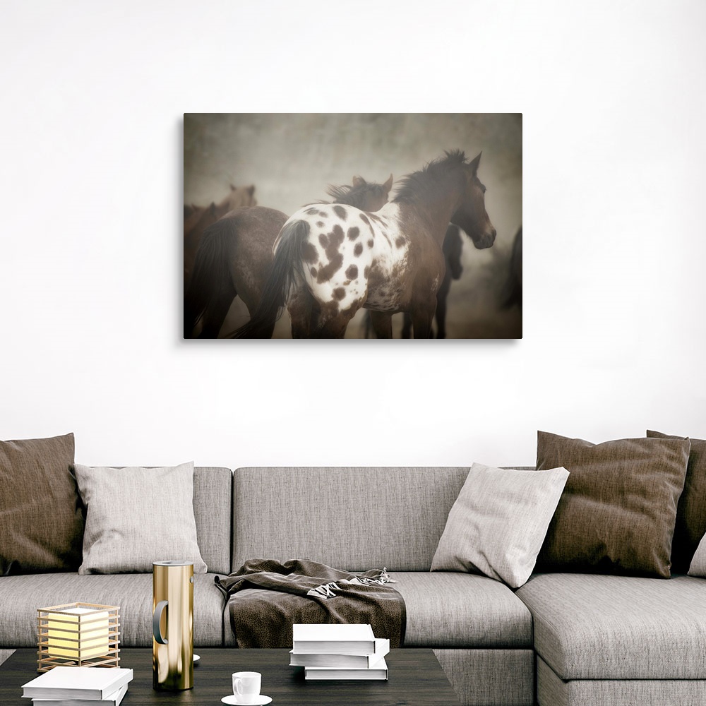 Appaloosa Canvas Wall Art Print, Horse Home Decor | eBay