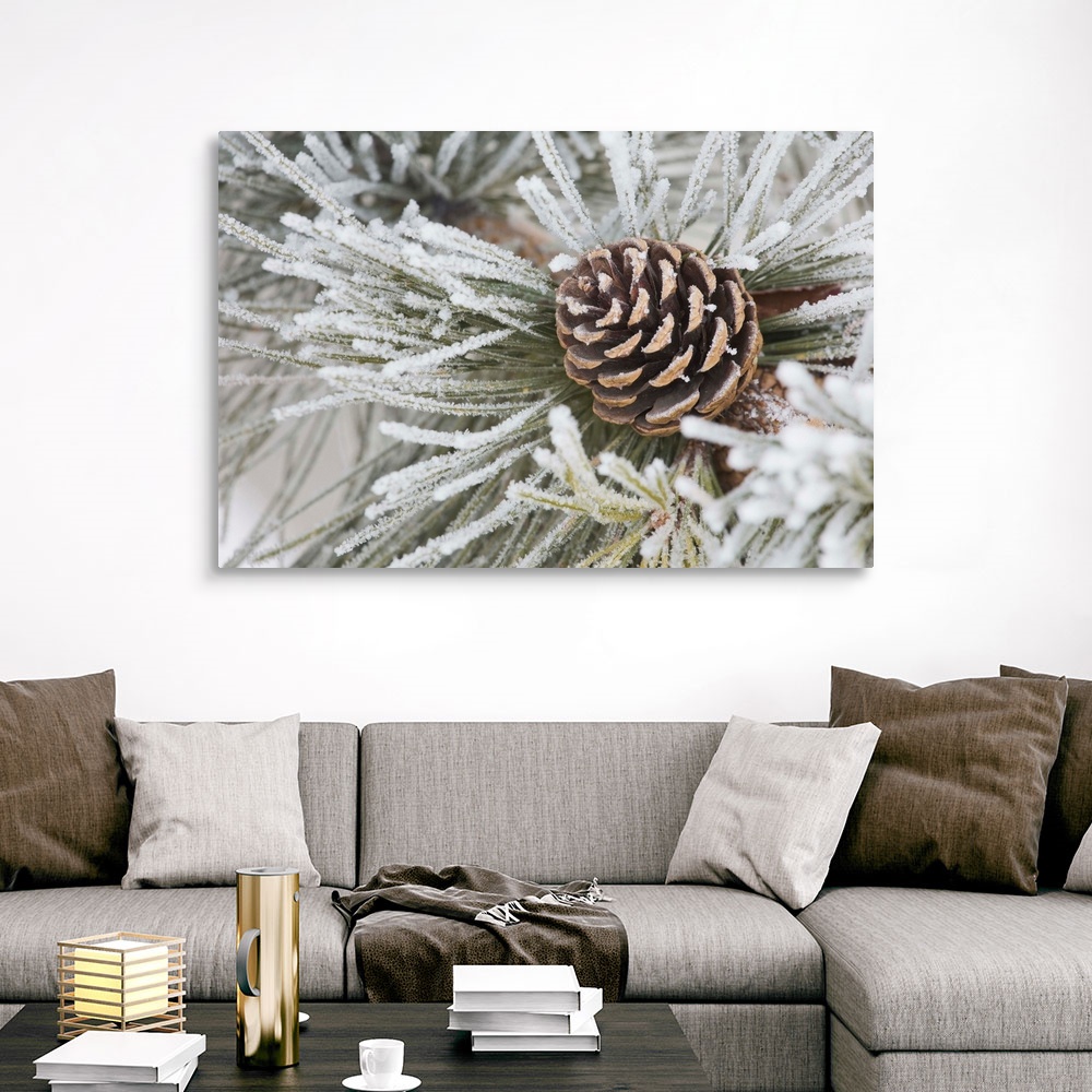 Needles Of A Pine Tree And A Pine Cone Canvas Wall Art Print, Tree Home ...