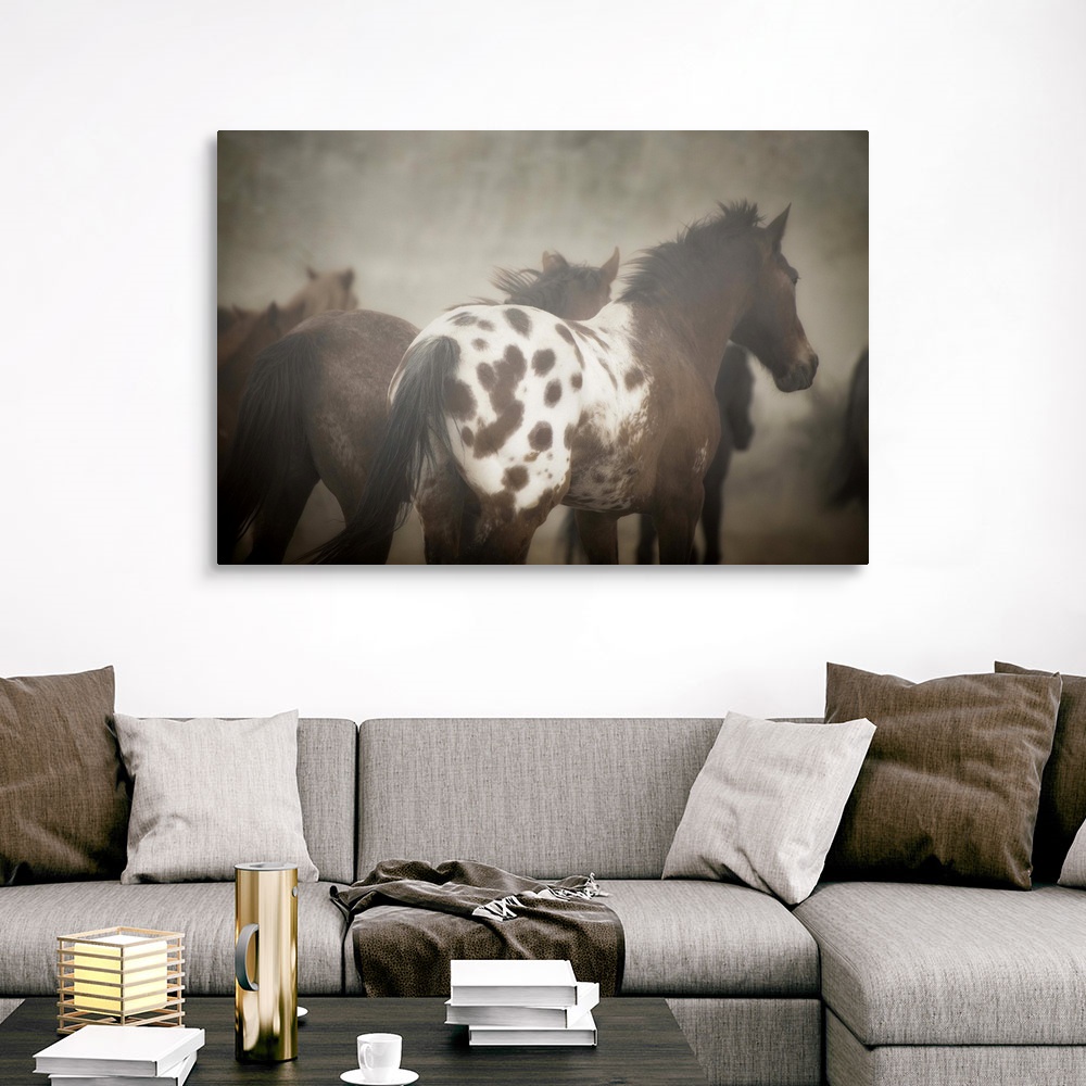 Appaloosa Canvas Wall Art Print, Horse Home Decor | eBay