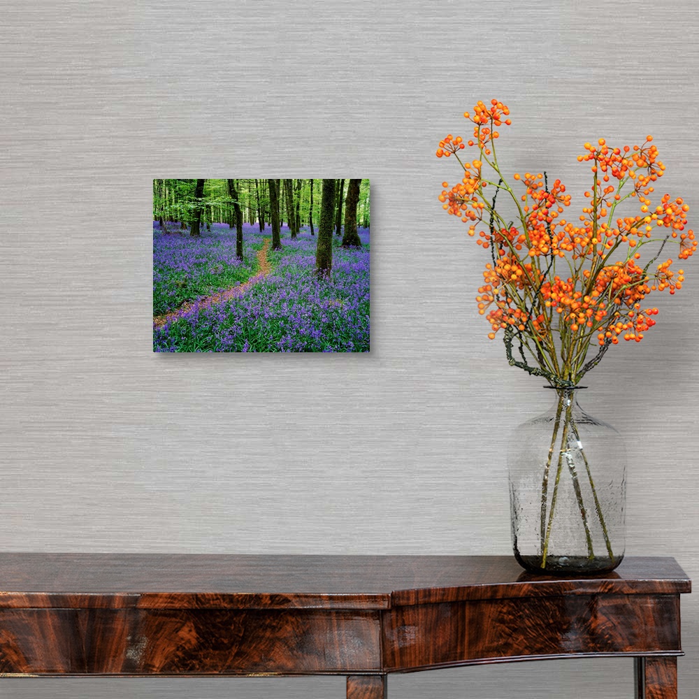 Bluebell Wood Near Boyle County Canvas Wall Art Print Bluebell Wood Near Boyle County Canvas Wall Art Print