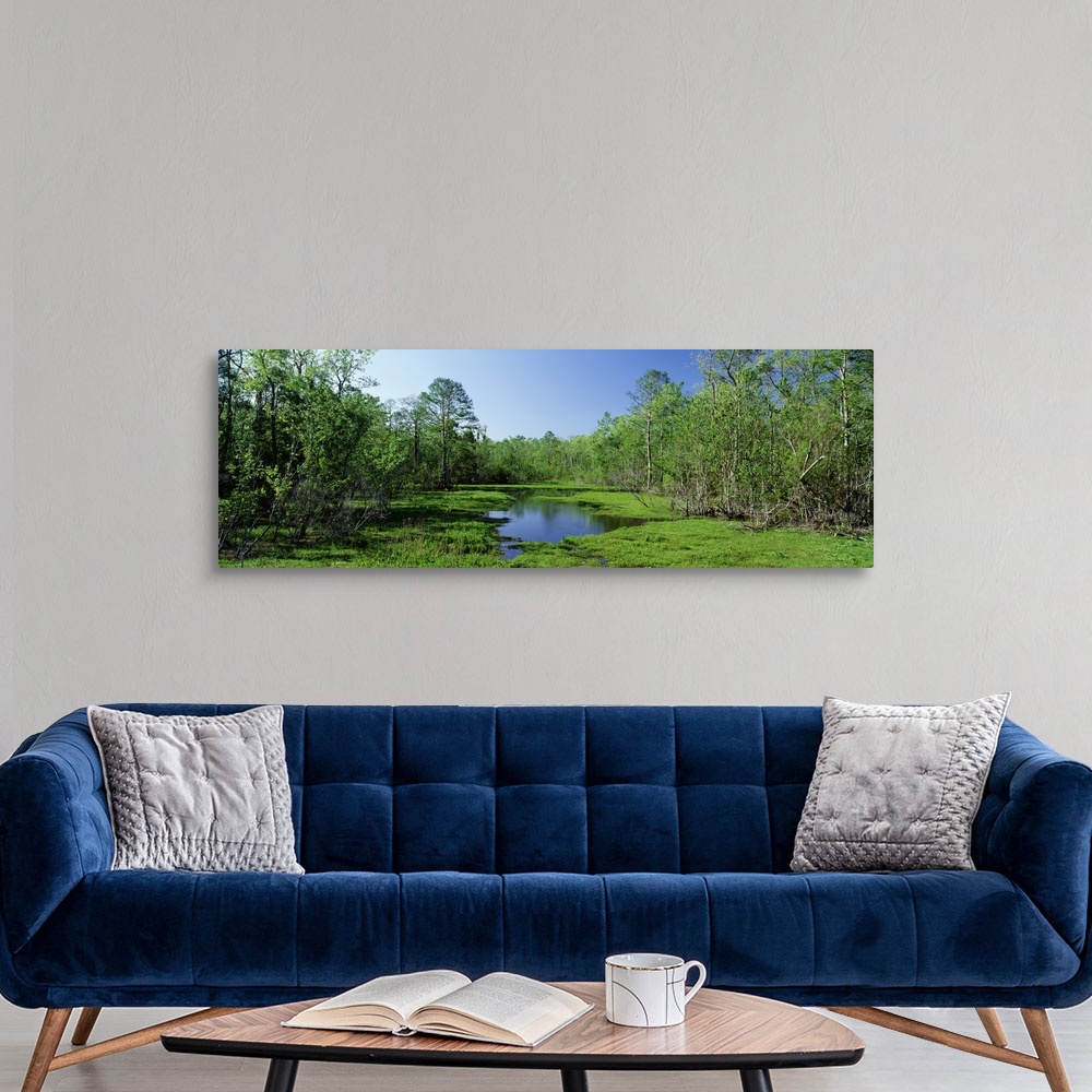 Lake in a forest, Houma area, southern Canvas Wall Art Print, Forest Home Decor