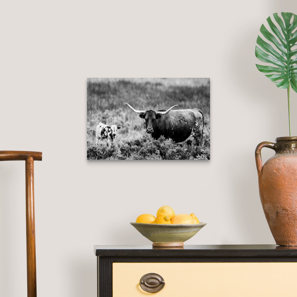 Black and White Longhorn II Canvas Wall Art Print, Cow