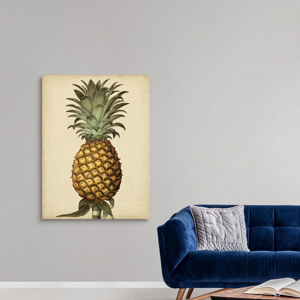 Brookshaw Antique Pineapple I Canvas Wall Art Print, Pineapple Home Decor